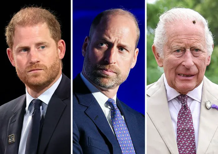 Prince Harry Prince William King Charles