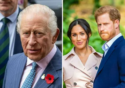 king charles prince harry meghan markle