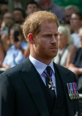 Prince Harry ceremonial procession from Buckingham Palace