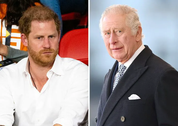 Prince Harry and King Charles