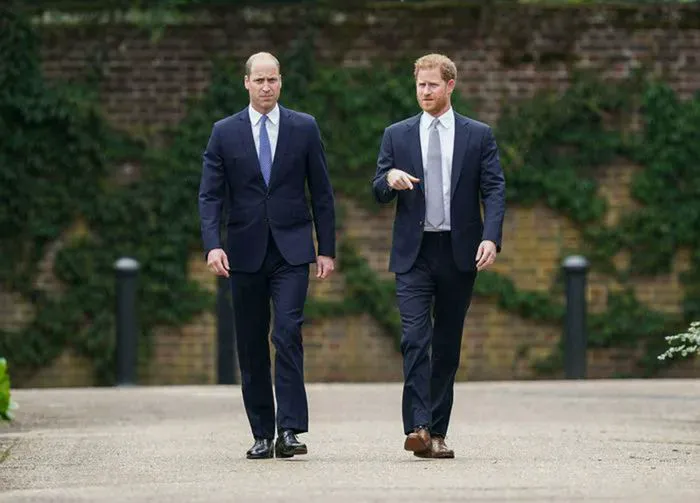 "Prince Harry and Prince William walking in the garden"