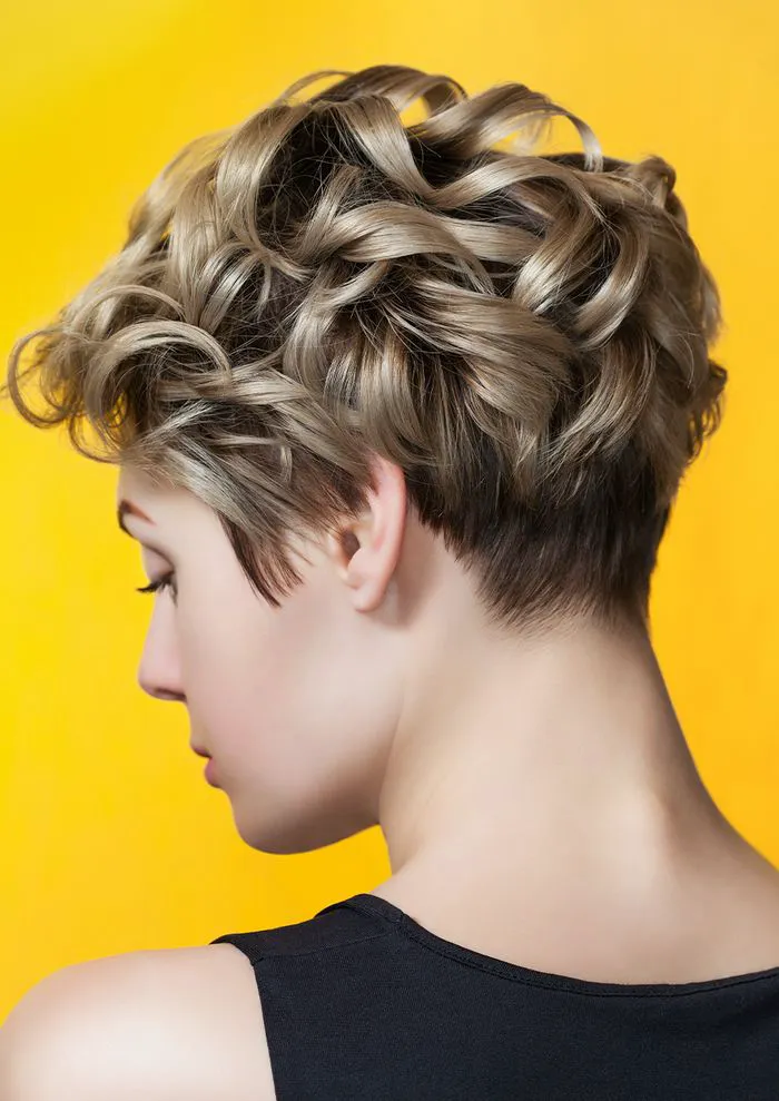 tapered-curly-crop
