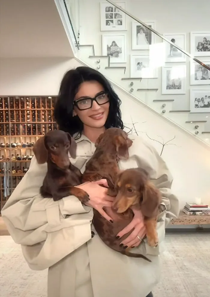 "Kylie Jenner with her dachshunds"