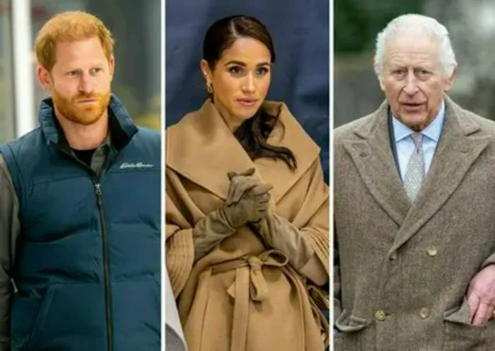 Prince Harry and Meghan Markle with King Charles