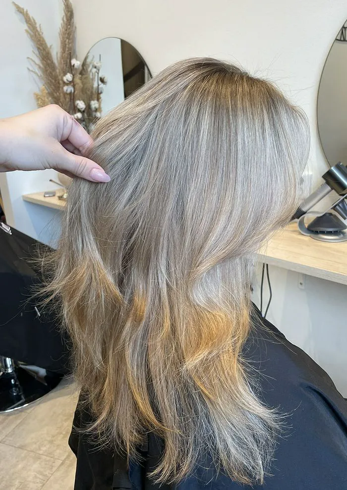 modern-shag