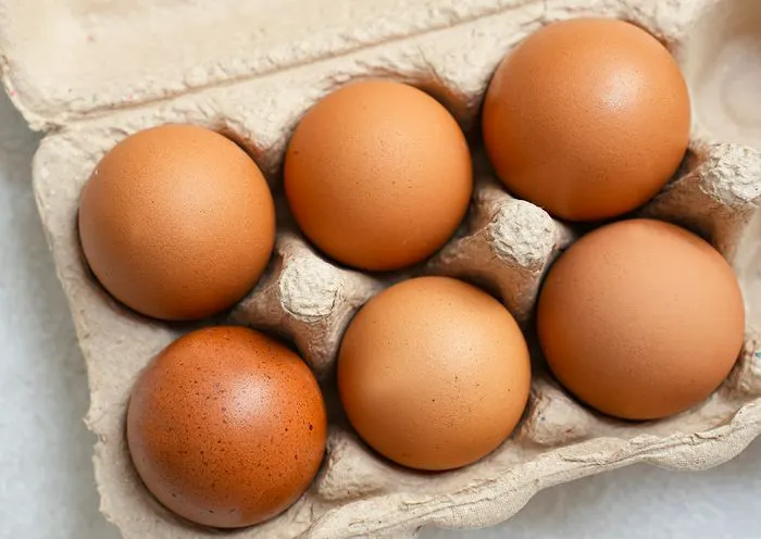 eggs