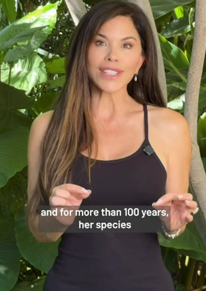 Lauren Sánchez black dress tortoise story