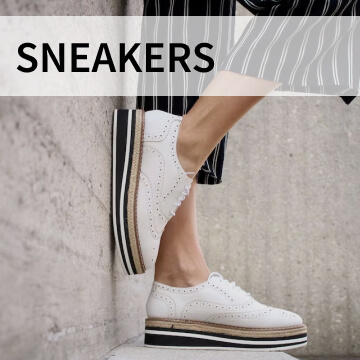 sneakers category graphic